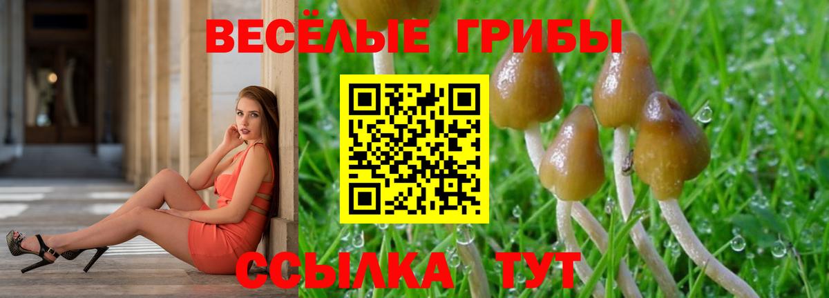 Елизово  Галлюциногенные грибы мухоморы  цена наркотик  Вход с VPN 